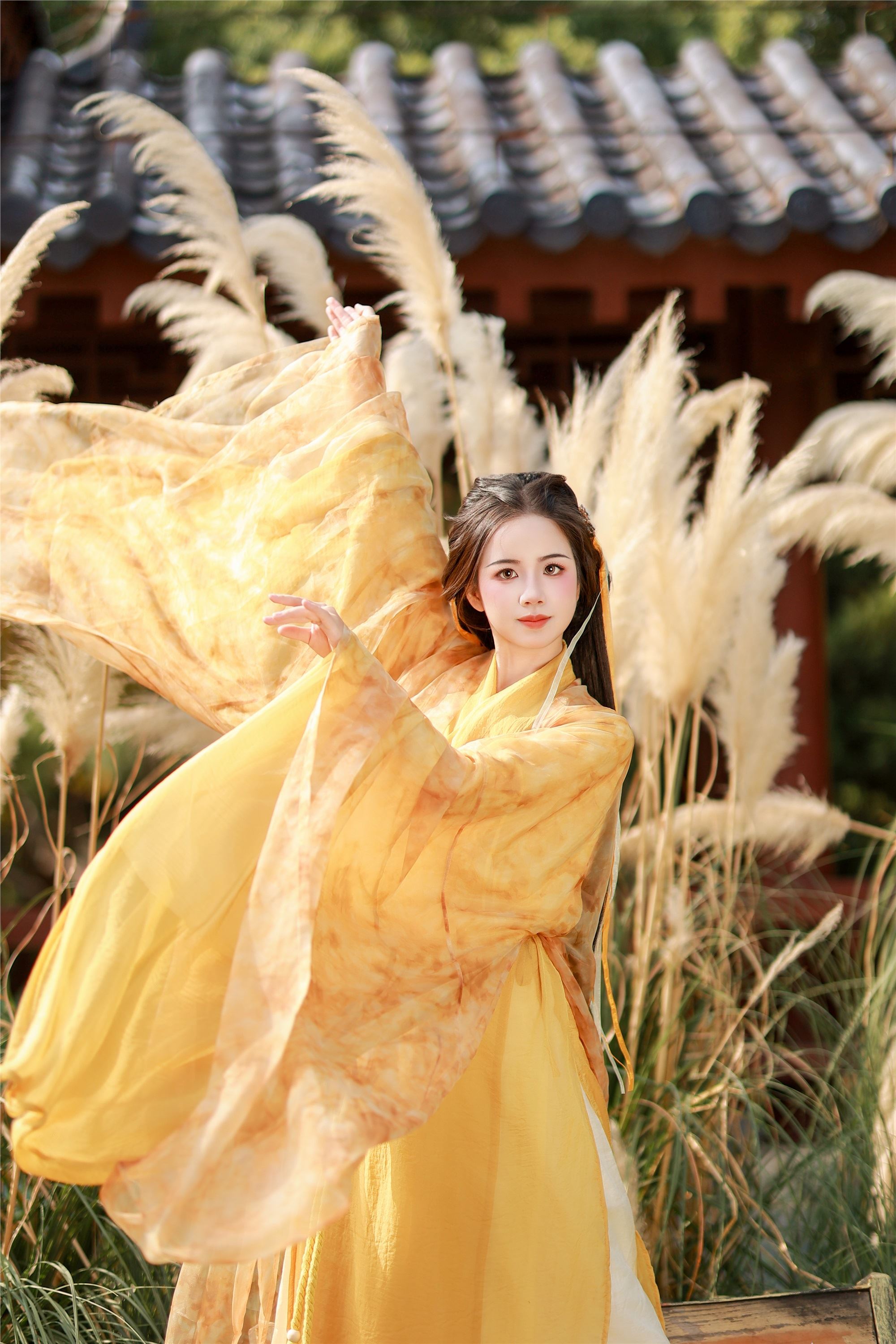 YITUYU艺图语 2025.01.26 黄衫女子 小杜同学